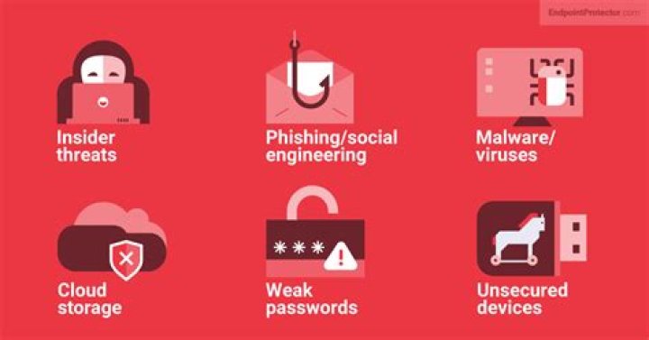 PrivateInsta.com Risks and Safety Concerns PrivateInsta.com Risks and Safety Concerns
