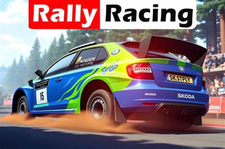 racing games-dirt rally