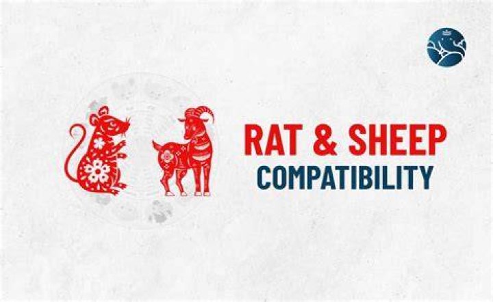 rat sheep compatibility