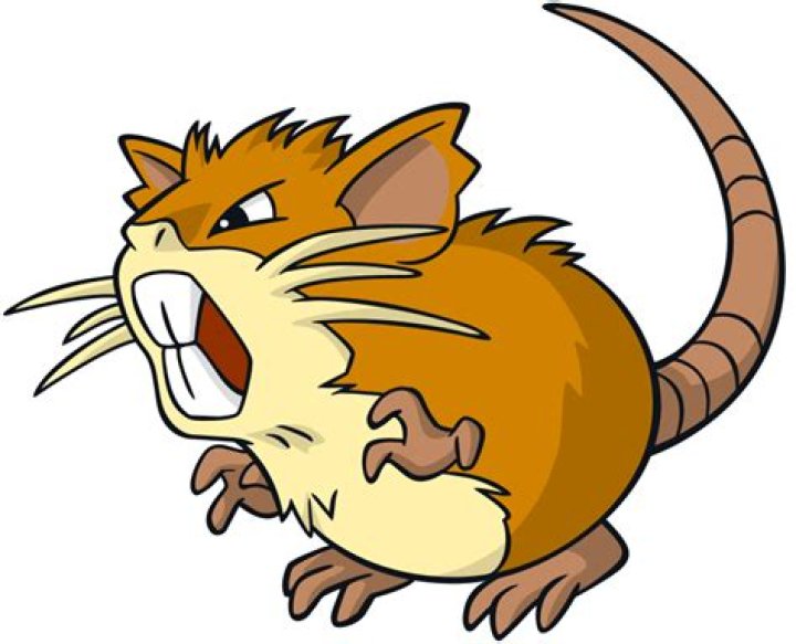 Raticate