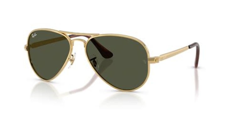 Ray-Ban aviators