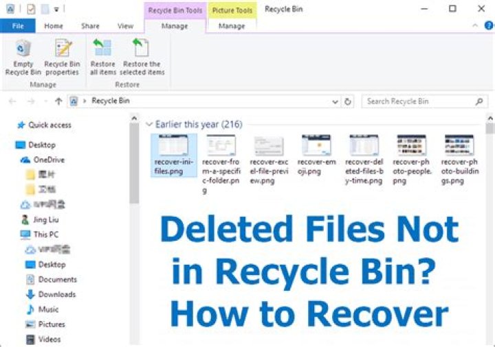 The Recycle Bin Recycle Bin d3dx9_33.dll missing