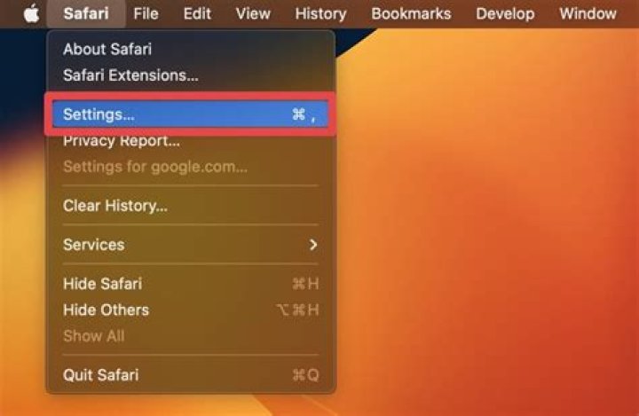 Remove Website data on Safari