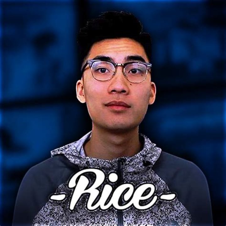Ricegum's Future Plans and Projects Ricegum's Future Plans and Projects