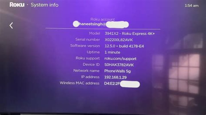 roku ip address