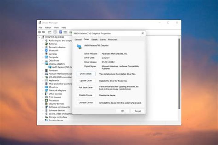 roll back driver wlanext.exe errors