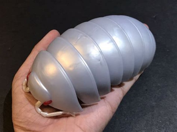 Roly Poly Robot.png