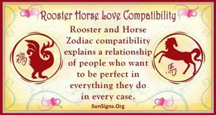 rooster horse compatibility