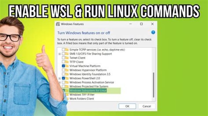 Run command to check WSL version in cmd