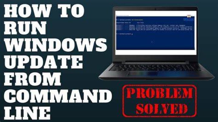 Run Windows Update