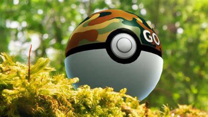 Safari Ball