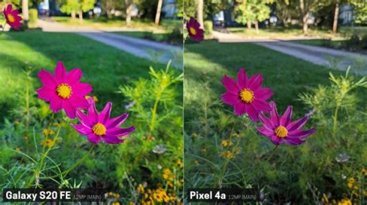 Samsung Galaxy S20 photo sample 05x
