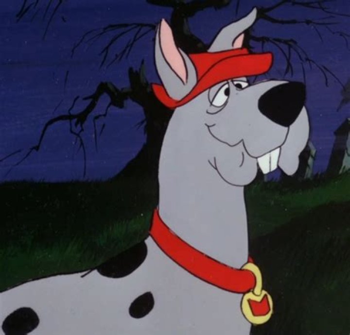 Scooby Dum