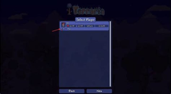 select player mp terraria