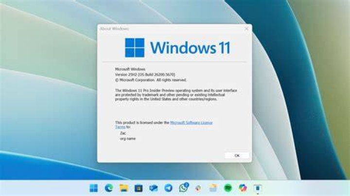 select Windows 11 version