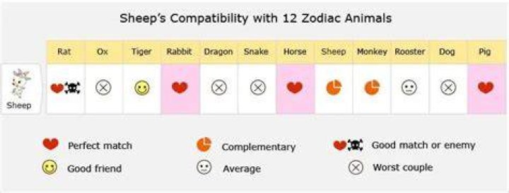 sheep horse compatibility