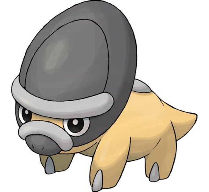 Shieldon