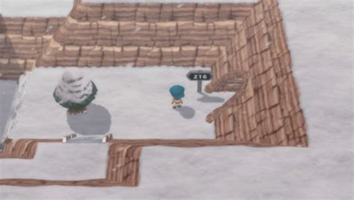 Sinnoh Route 216