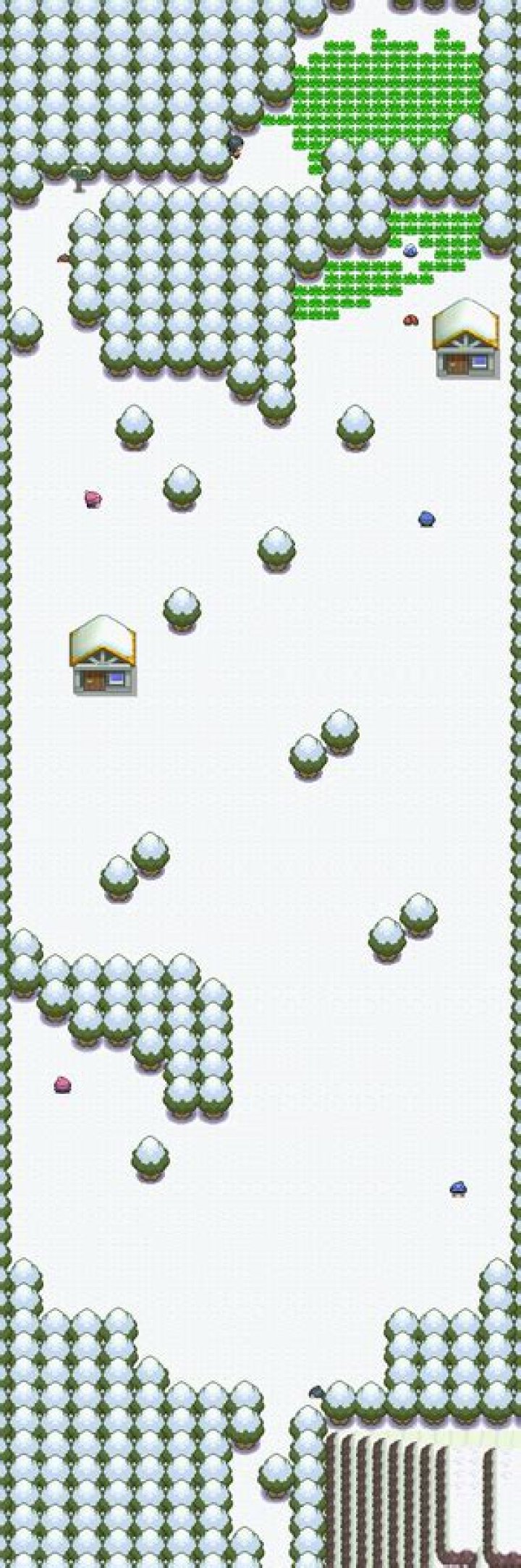 Sinnoh Route 217