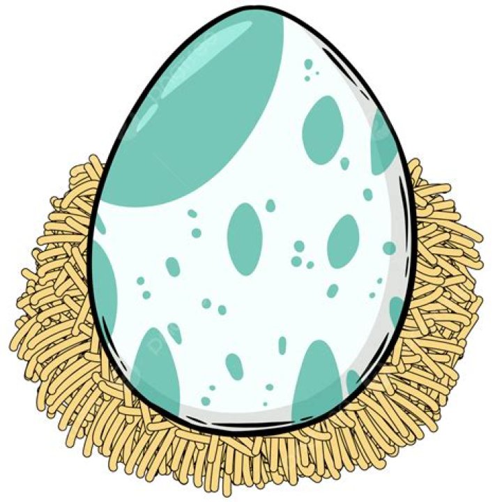 Sleep Fancy Egg.png