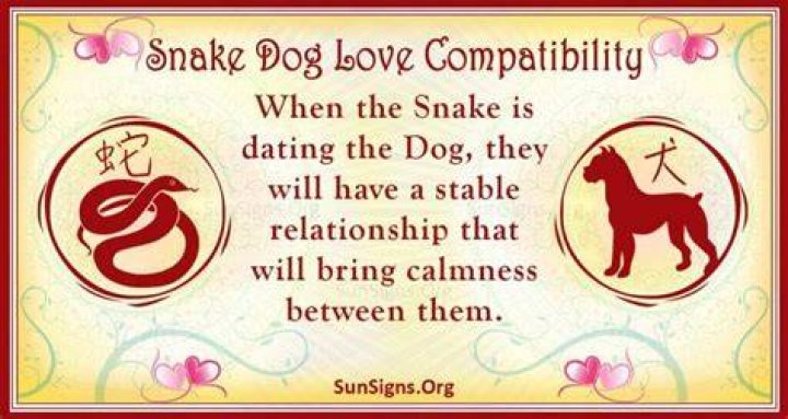 snake dog compatibility