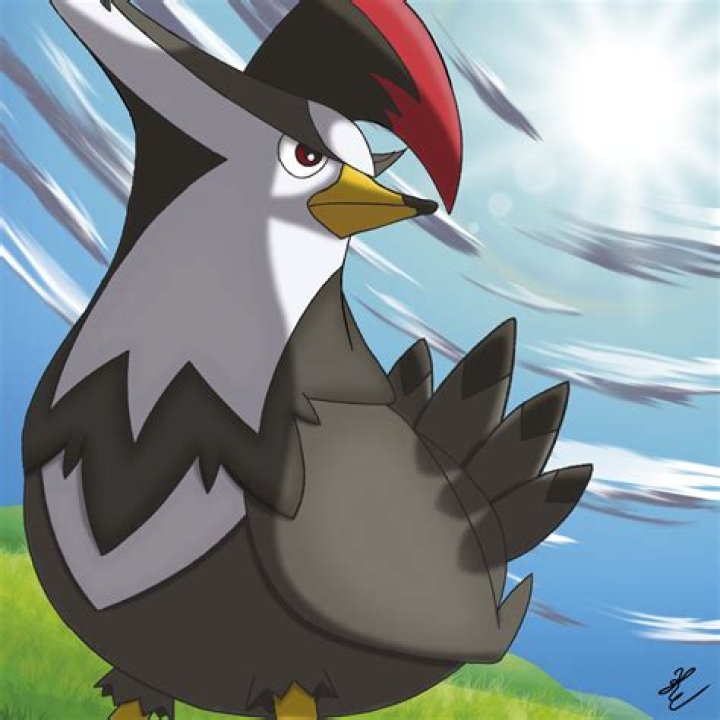 Staraptor