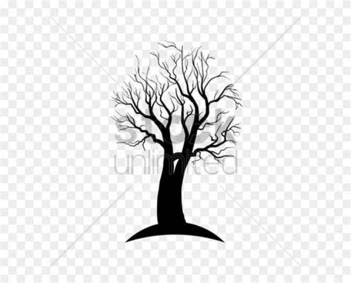 StockUnlimited vector graphics