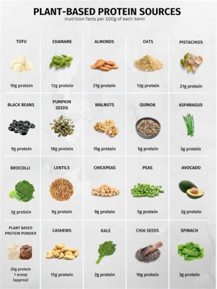 STYLECASTER | 17 Plant-Based Instant Pot Recipes for Meatless Mondays | Chickpea Curry