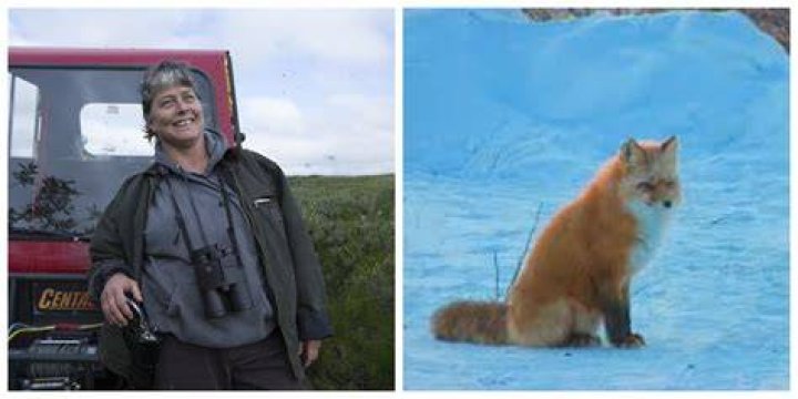 Sue and fox Life Below Zero