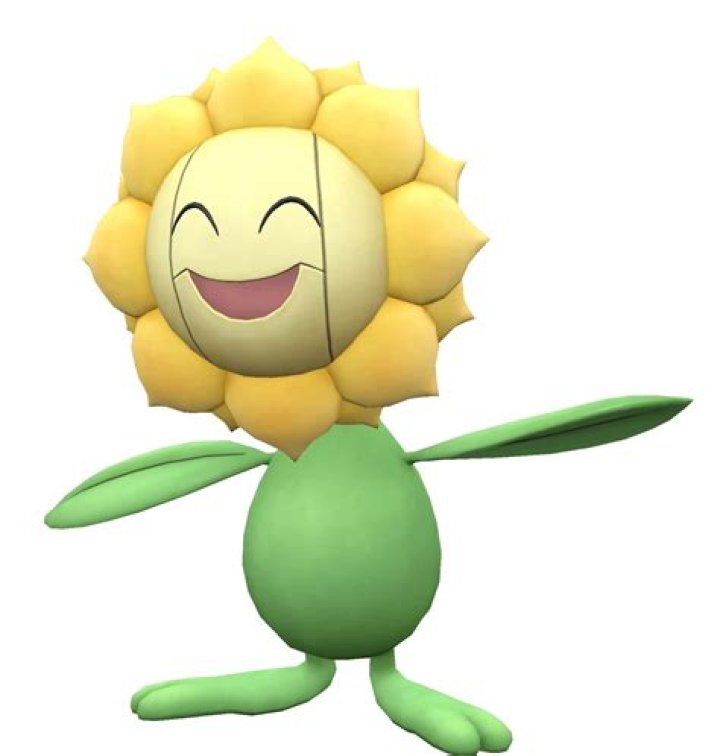 Sunflora