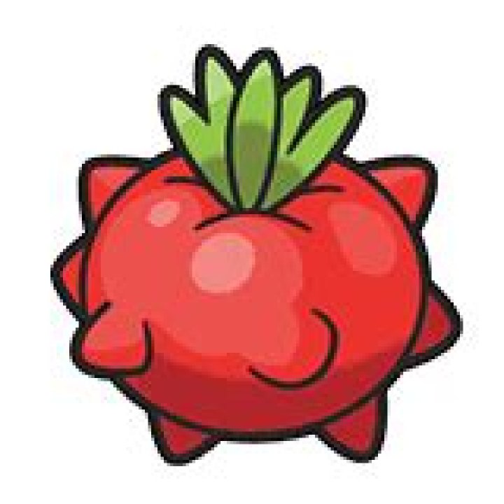 Tamato Berry