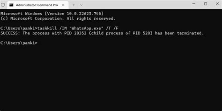 Terminate process