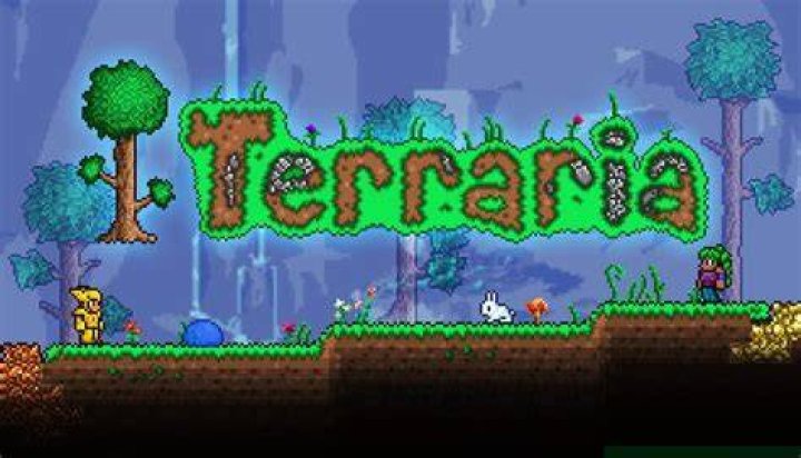 terraria multiplayer host & play