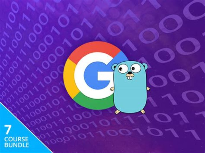 The Complete C Programming Certification Bundle The Complete Google Go Developer Bundle