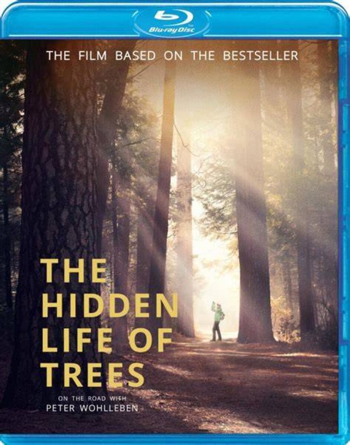 The Hidden Life of Trees DVD & Blu-ray