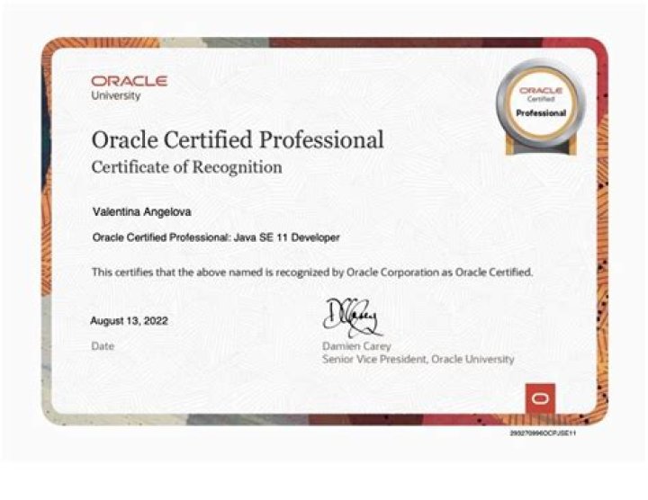 The Oracle Professional Certification Training Bundle The Oracle Professional Certification BIG Data Training Bundle