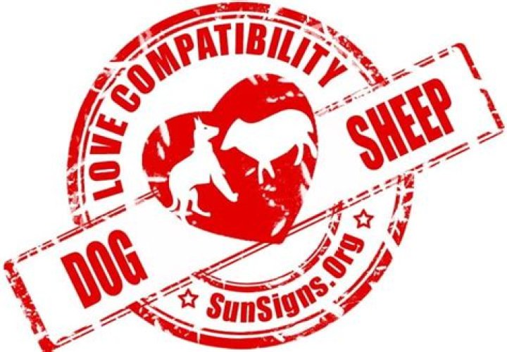 This Dog Sheep compatibility can work, but it will likely be very tricky to pull off.
