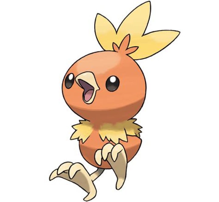 Torchic