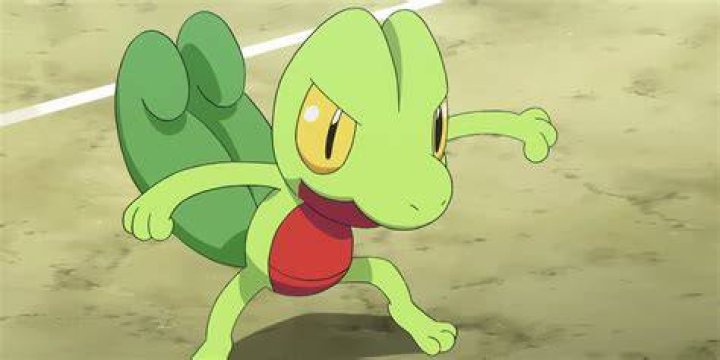 Treecko