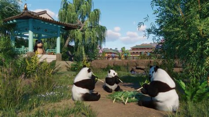 Panda try out Panda