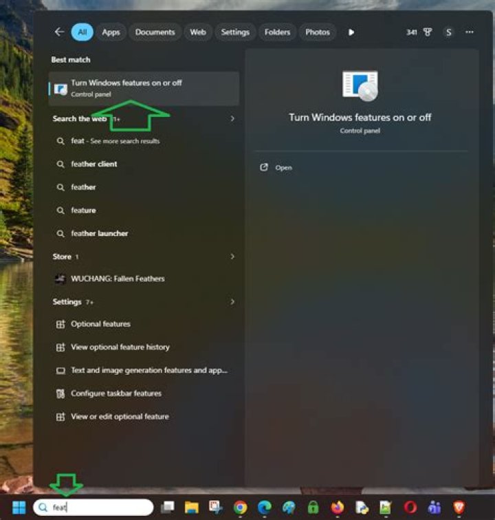 turn windows feature on or off