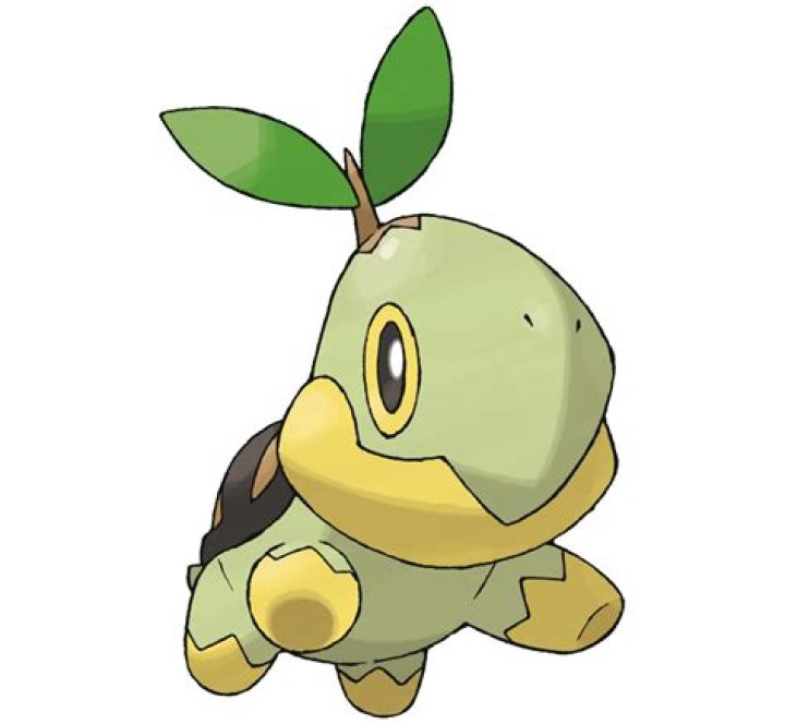 Turtwig