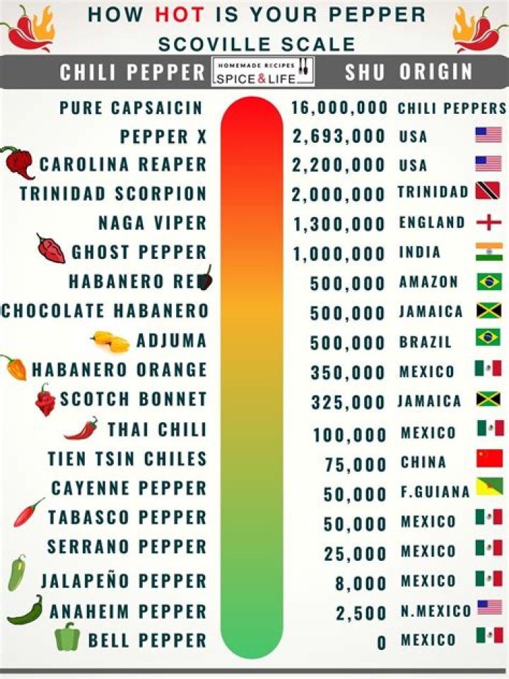 Understanding Spice Height: A Comprehensive Guide