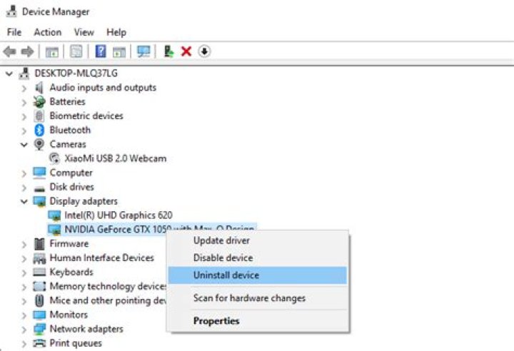 uninstall display adapter driver