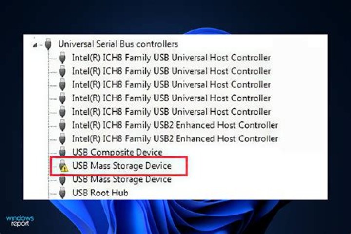 USB Mass Storage Device has a driver problem