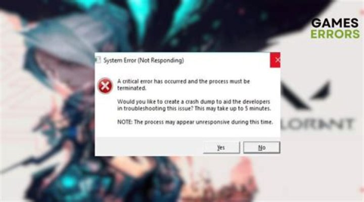 Valorant error