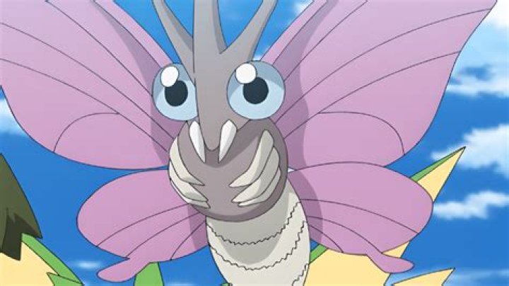 Venomoth