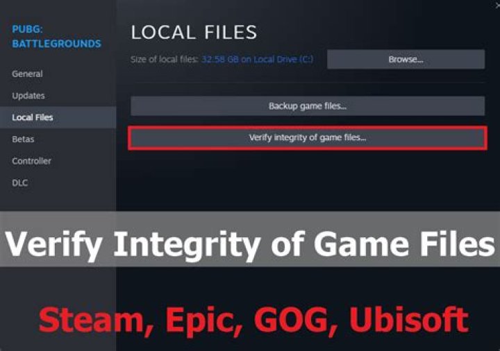 verify integrity terraria game files