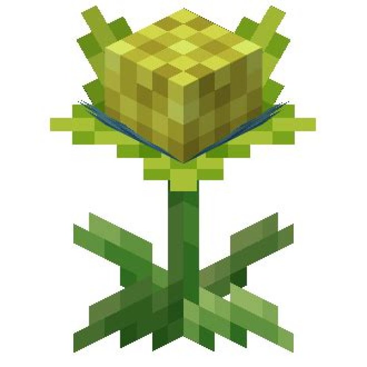 Vivichoke