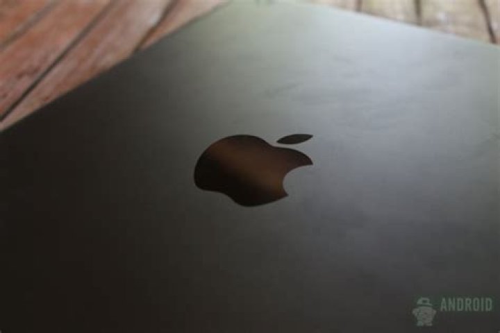 Apple Logo iPad 4 1600 W1 chip: Black Apple iPad 5 logo.